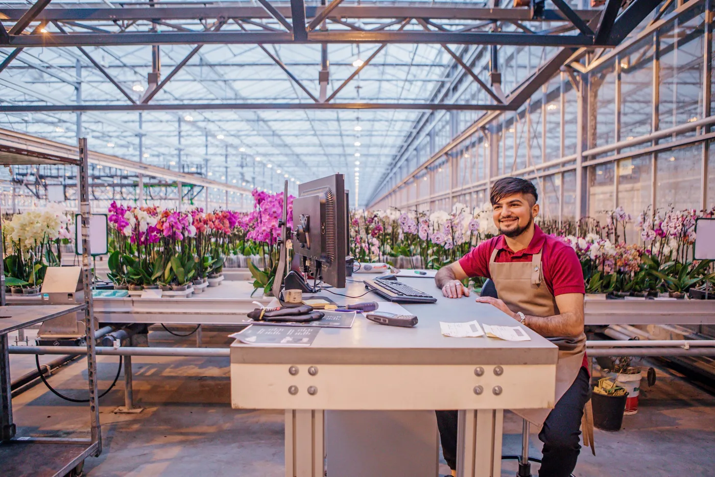 Worker in an apron at a workstation with a monitor in a greenhouse full of orchids